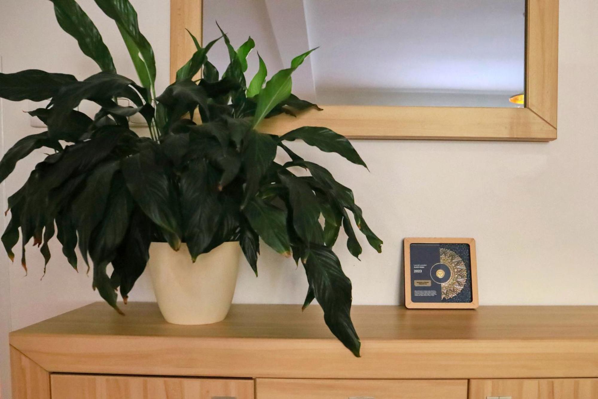Apartmány na Šumavě Kasperske Hory Esterno foto